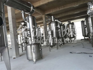 0.5t/h~100t/h廢水蒸發(fā)器